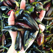 Load image into Gallery viewer, Hot Damn Pepper Jam