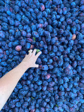 Load image into Gallery viewer, Island Plum Spoon Preserves 7.75oz