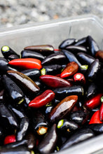 Load image into Gallery viewer, Hot Damn Pepper Jam