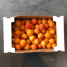 Load image into Gallery viewer, Orchard Apricot Spoon Preserves 7.75oz
